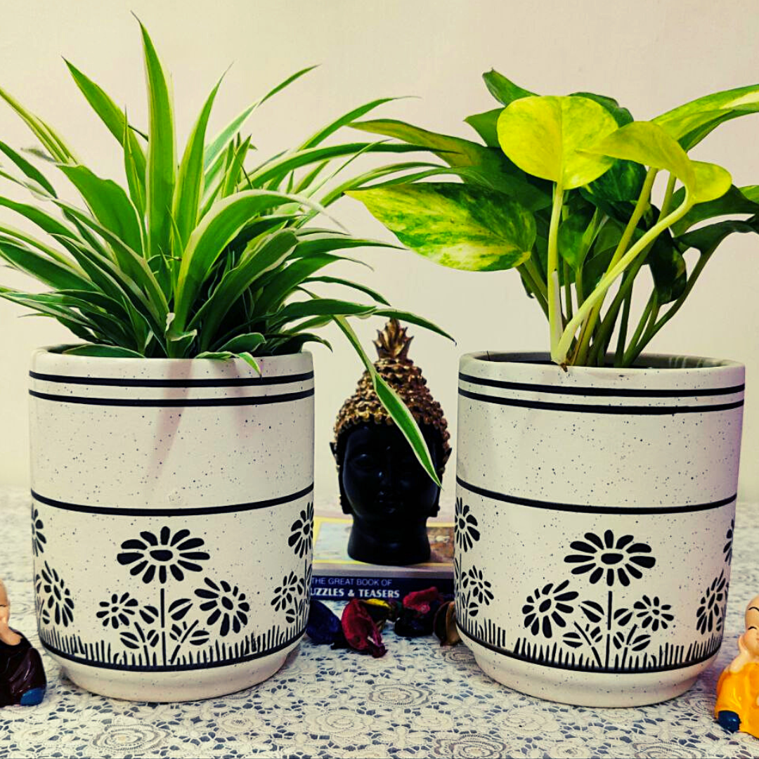 Homefrills small combo Matte Finish White Ceramic planters Pot with Flower Design for Indoor & Outdoor Home, Garden, Office Decor, Balcony Planters Pot Gamla Size- 14*12 cm Colour- White & Black (set 